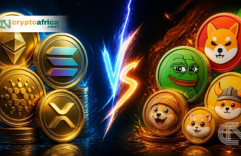 Altcoins are typically created to solve a specific problem. Memecoins are built on community, culture and hype.
