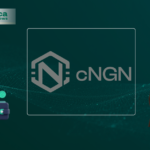 Why Nigerian Fintechs Aren't Inegrating cNGN