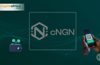 Why Nigerian Fintechs Aren't Inegrating cNGN